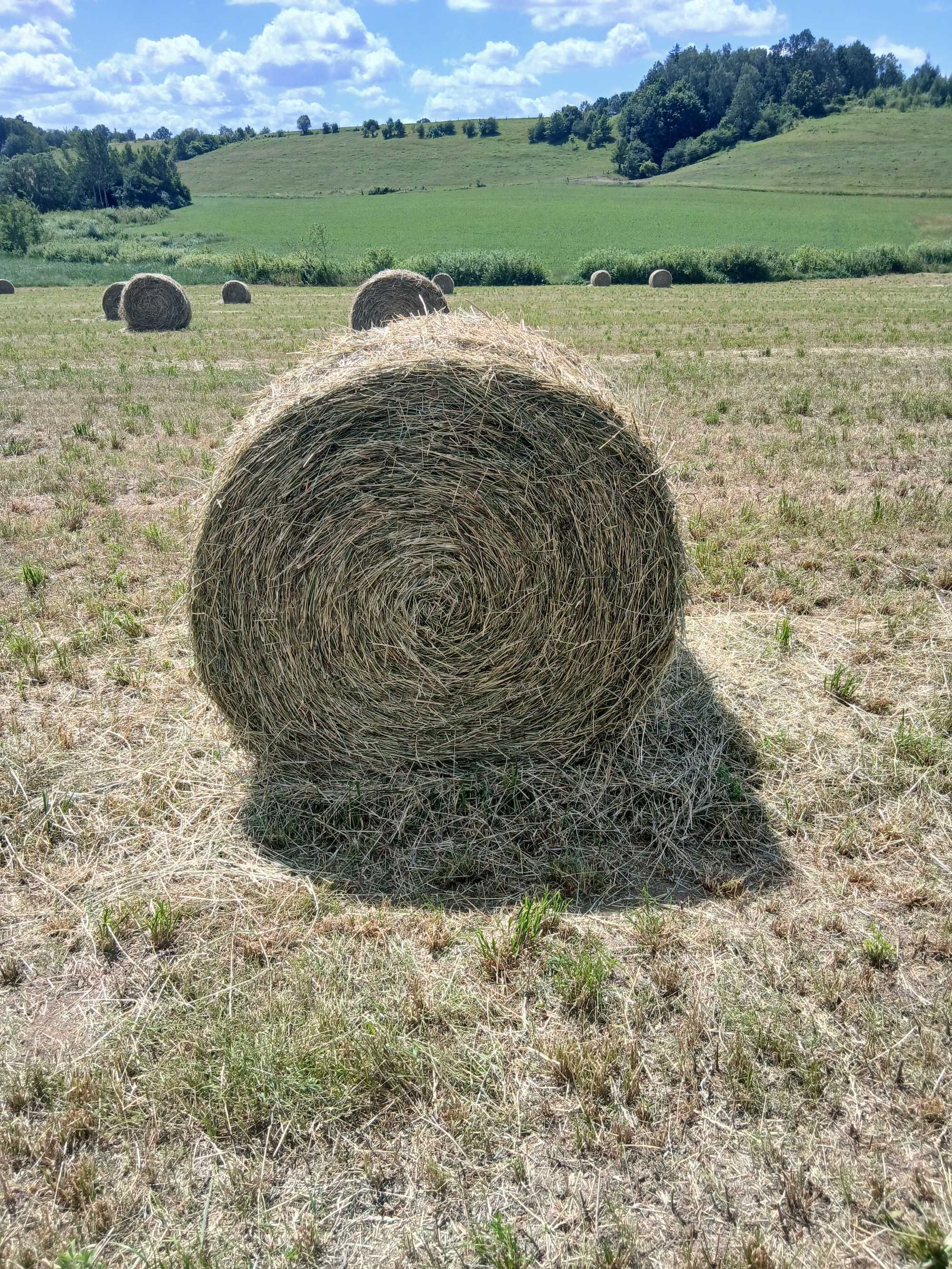 sprzedam zamiennie  siano