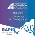 RAPID Mg+ NOWOŚĆ na rynku z siarką! Szukasz skutecznego nawozu?