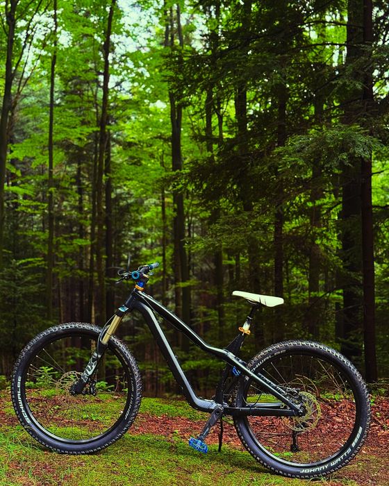 Dartmoor hornet pro FOX 36 rower mtb hardtail downhill freeride