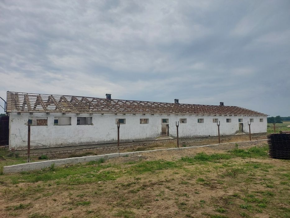 Blacha trapezowa grafitowa z rozbiórki. Konstrukcja dachowa zdrowa, so