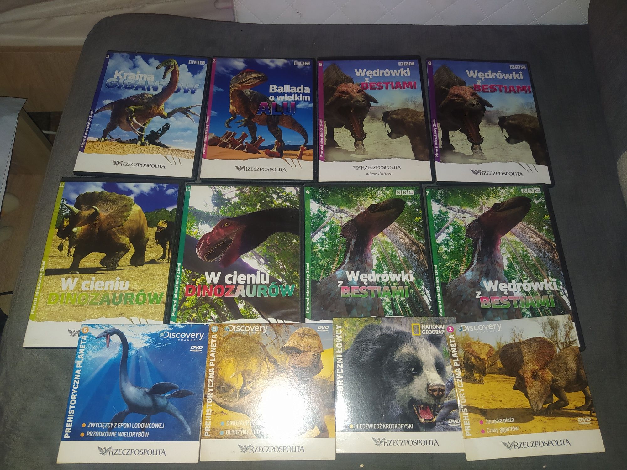 Płyty DVD o dinozaurach (12 sztuk  zestaw)