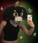 Fursuit + rysunki