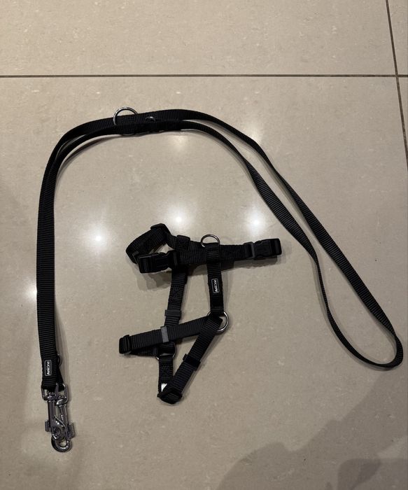 Szelki dla psa S + smycz dla psa 2 m AniOne