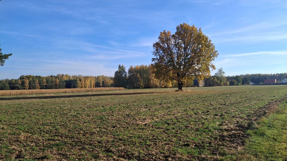 Działki budowlane gm. Jakubów / Szczytnik