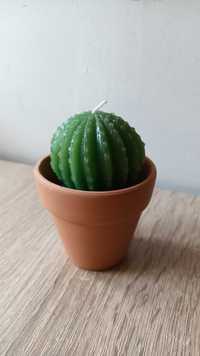 Nowa świeczka kaktus