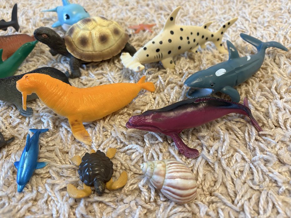 Колекція тварин: сафарі, дикі, морські, птахи