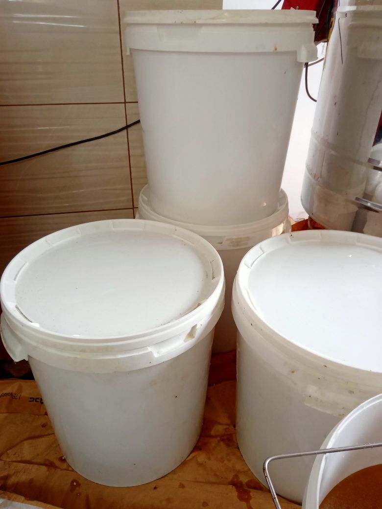 Miód rzepakowy wiadra 40 kg