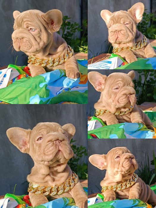 Бігроп дівчинка Big rope