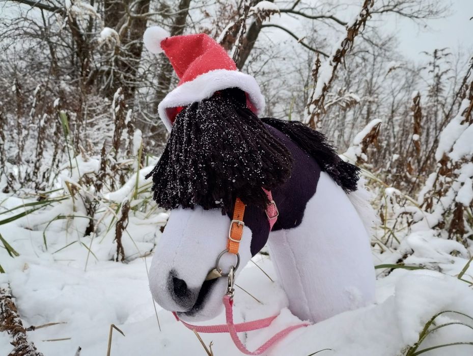 Hobby horse HCK a4/a3