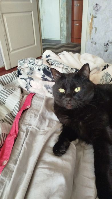 Потрібна допомога