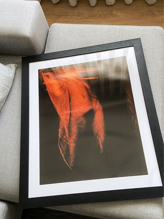 Obra Fotográfica do artisfa Burbano Talamás