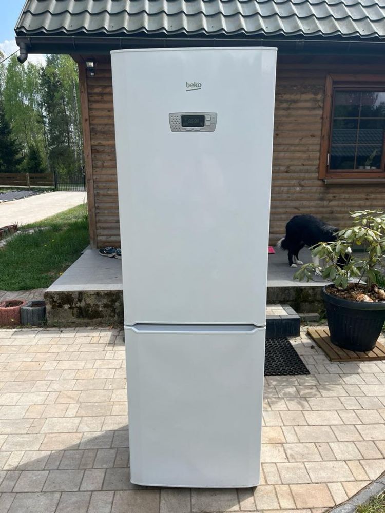Lodówka marki Beko