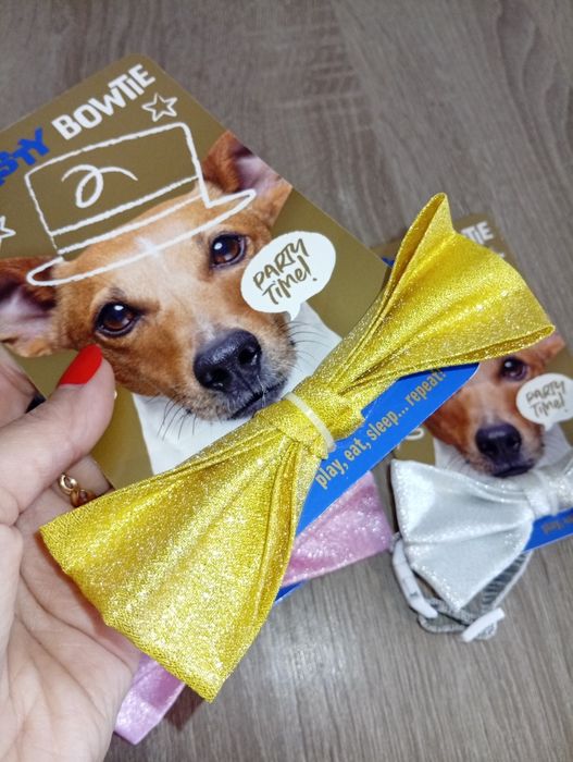 Mucha z obrożą dla psa / kokardka dla psa + obroża