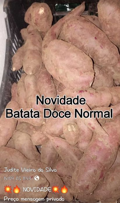 Batata doce Nacional