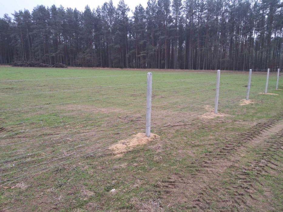 Ogrodzenie z siatki leśnej tymczasowe stałe działki siatka słupki