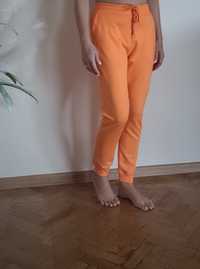 Spodnie dresowe damskie