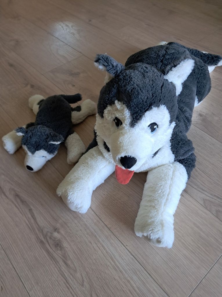 Livlig pies pluszak Ikea
Pluszak, pies/siberian husky