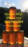 Мед разнотравье+ подсолнух