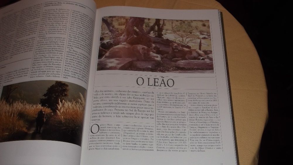 livro Vida Salvagem Animais da Savana