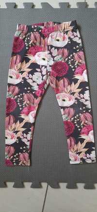 Legginsy spodenki Lily Grey rom.98