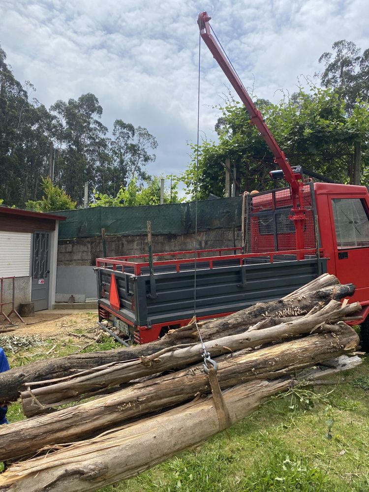 Grua para carinhas ao tratocarro ao reboque pequeno