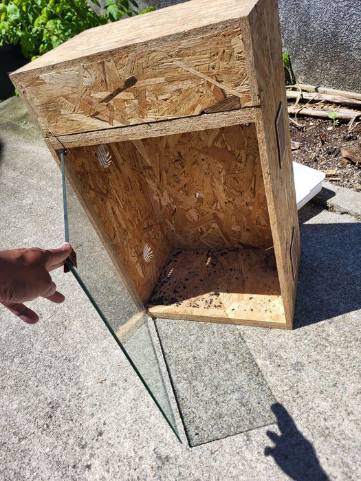 Terrário em madeira