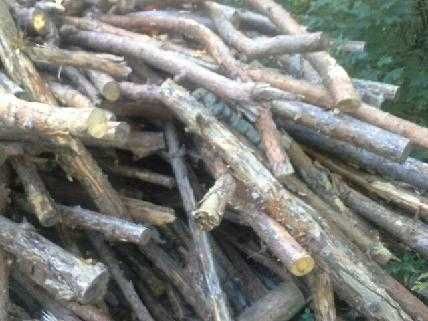 Sprzedam drewno opałowe, kominkowe