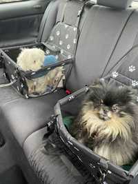 Fotelik do psa kota transporterek do samochodu transporter zwierzęta