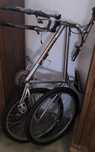 Bicicleta SHIMANO Runner