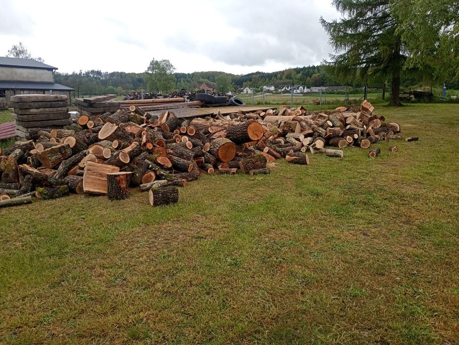 Cięcie i łupanie drewna oraz wycinka drzew