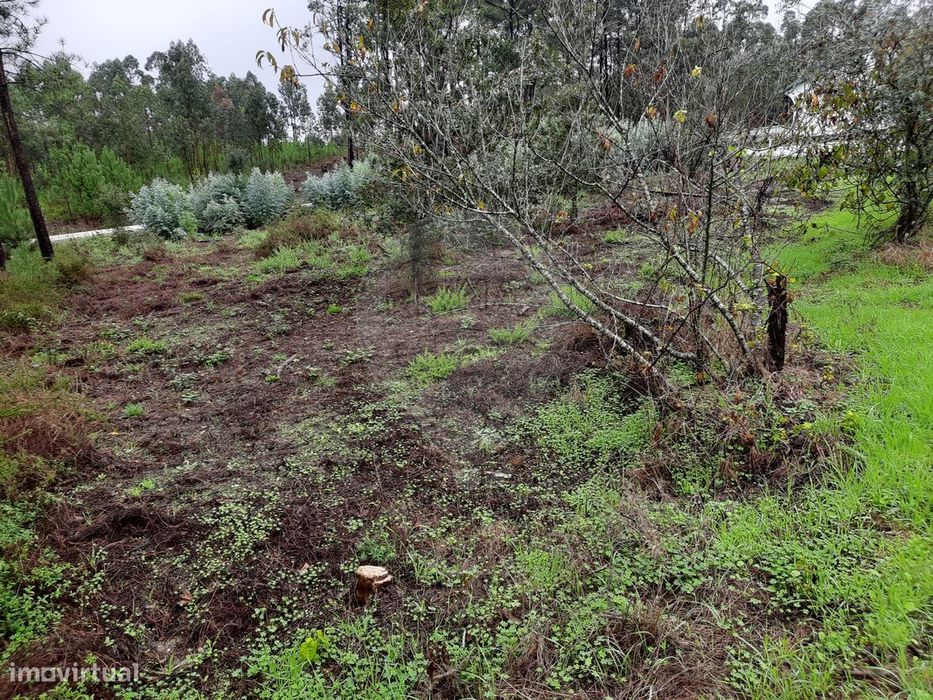 Terreno  para venda