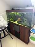 Akwarium Juwel rio 240