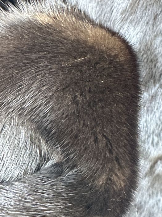 Casaco de Vison castanho escuro