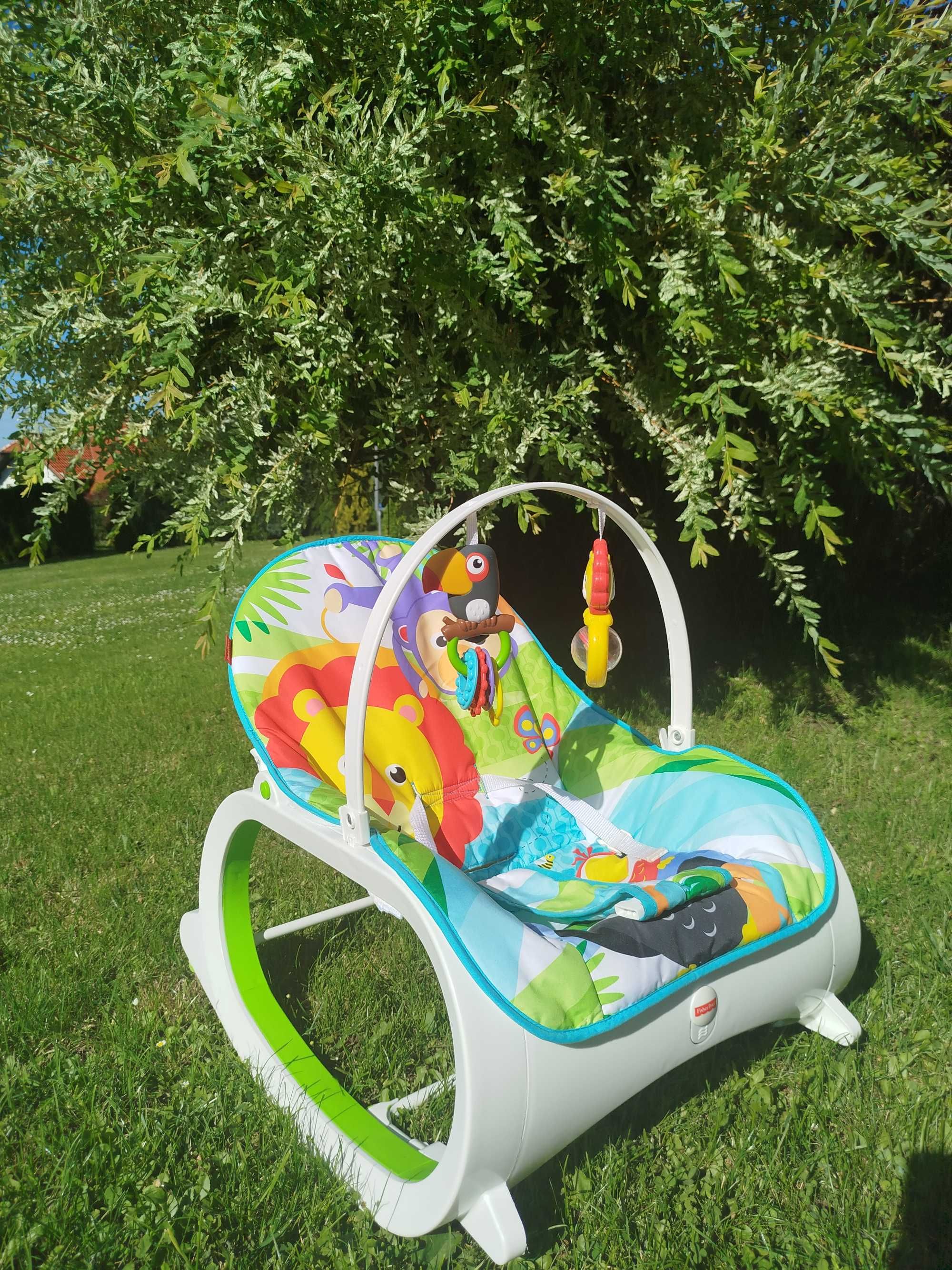 Bujak fisher price