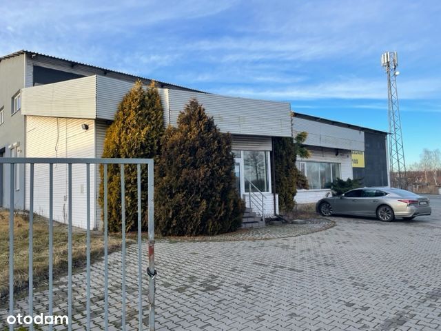 Hala przy trasie 2000