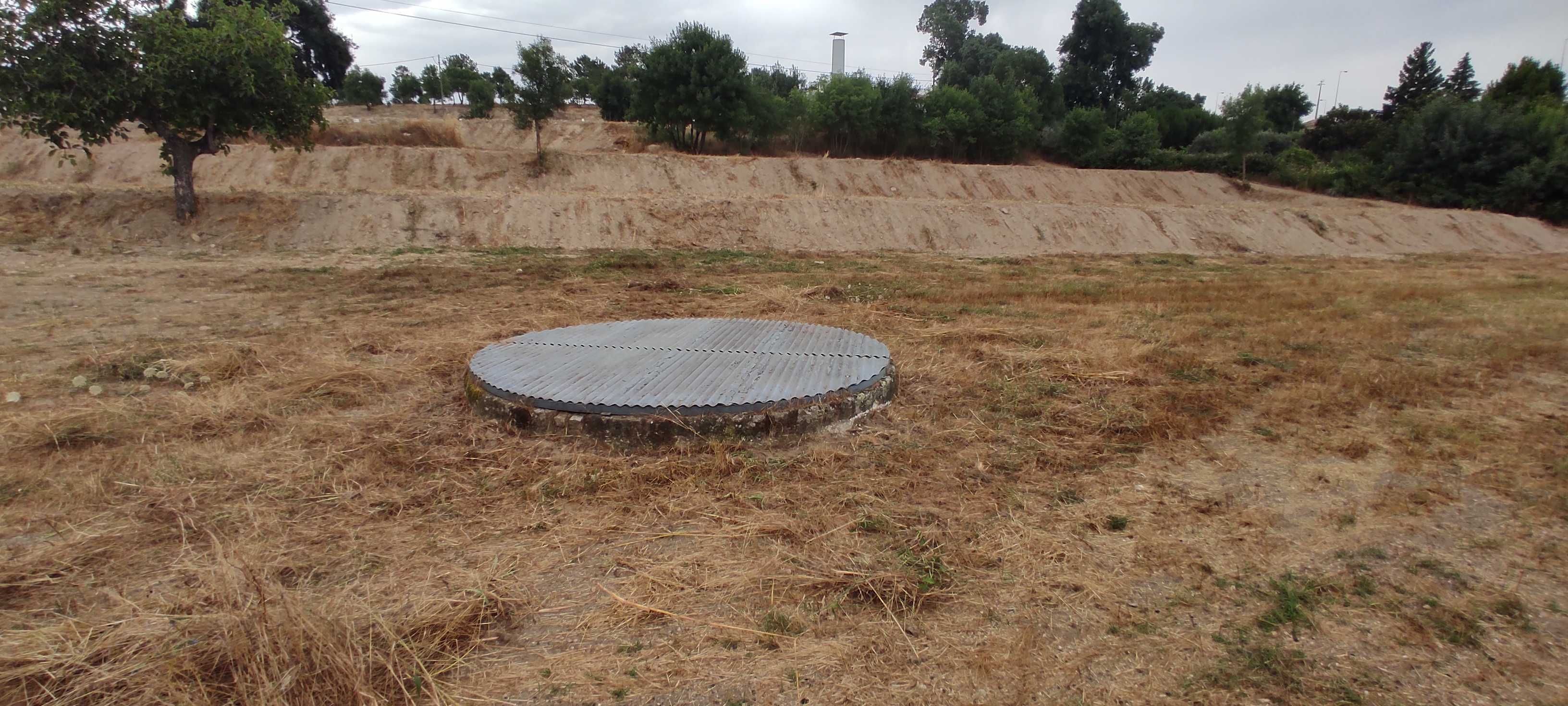 Arrenda-se terreno agrícola