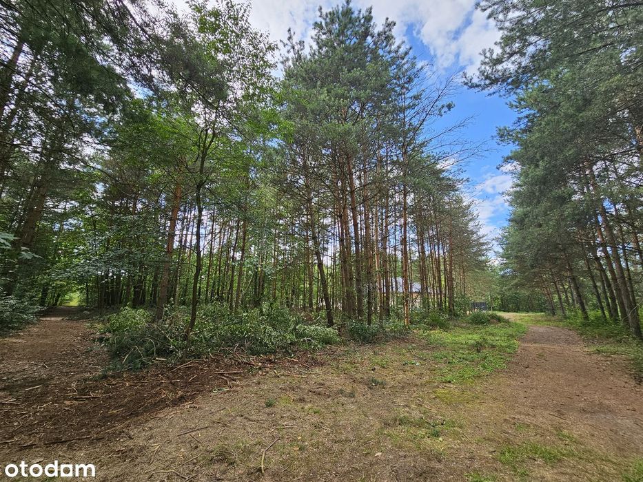 Działka Budowlana Osowiec / Grodzisk Mazowiecki 1242m2