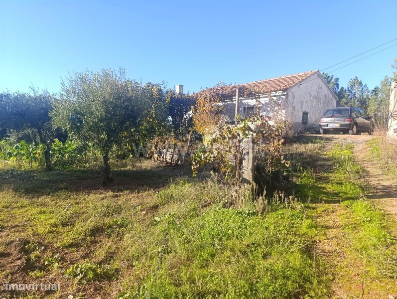 Quintinha / Fundão, Fatela