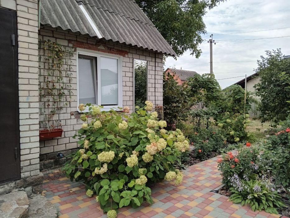 Сдаю дом по суточно, оренда будинку
