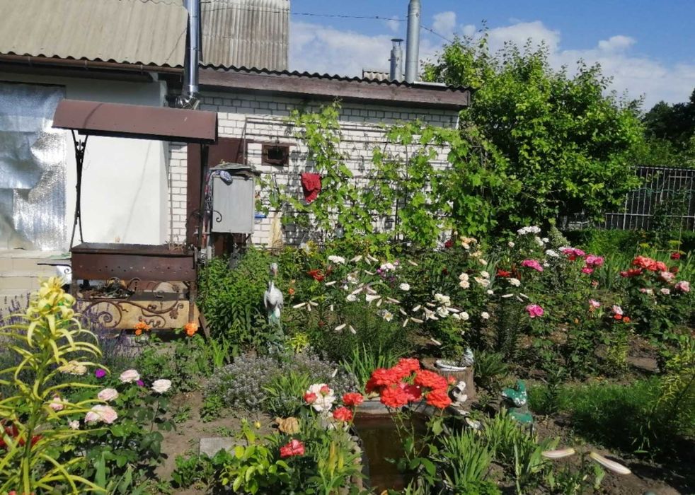 Продаж дачного будинка кооператив "Світанок"
