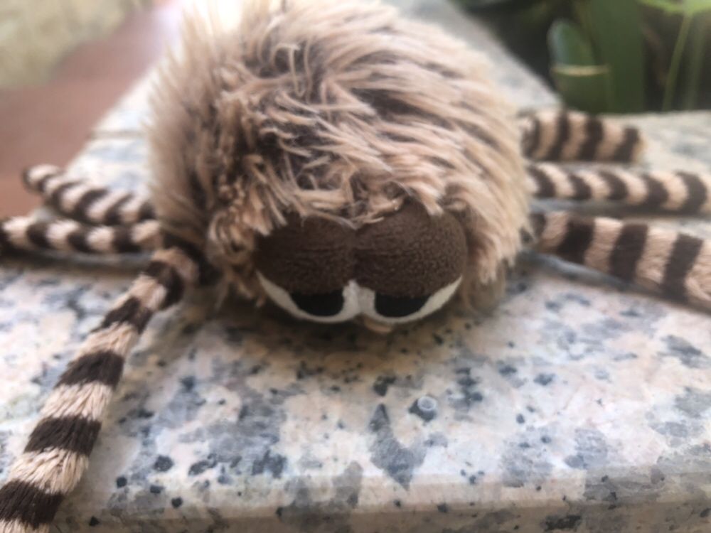Aranha nici
