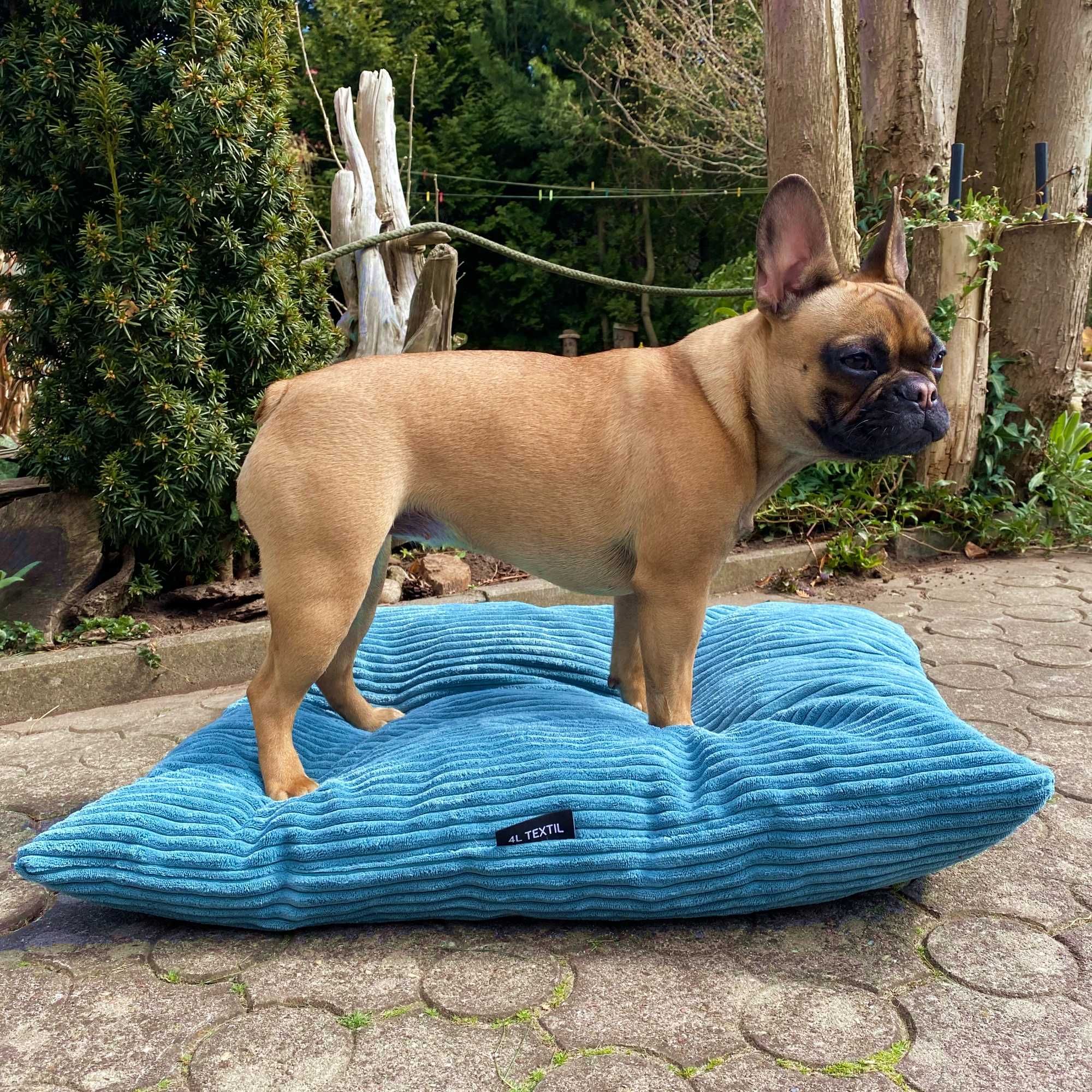 Legowisko poduszka dla psa MOLLY (120x100 cm, Turkus)