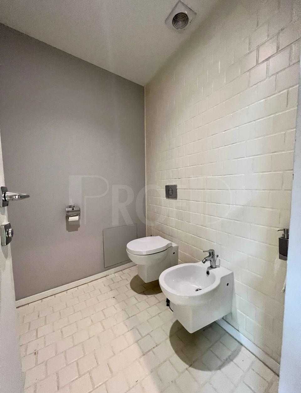 БЦ класса В+ метро Печерская (220м2)