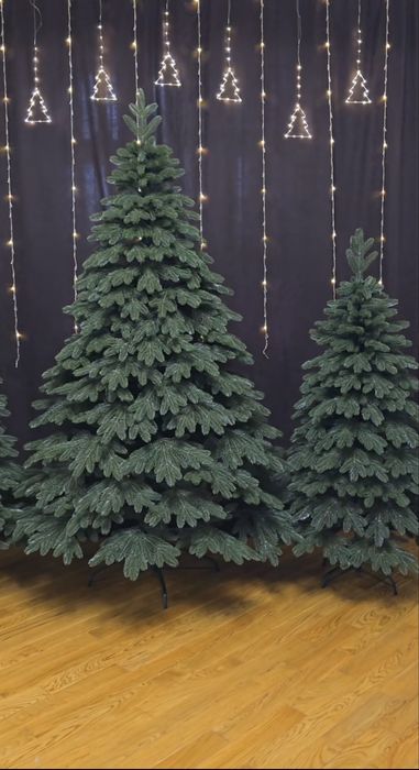 Ялинка лита Швейцарська