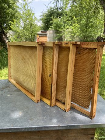 Рамки для бджіл, бджолина суш