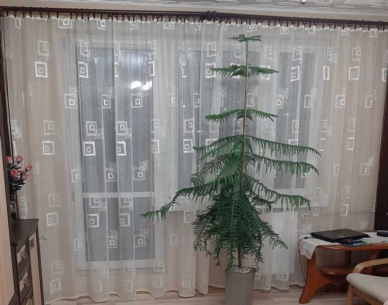 Firana gotowa, długa do pokoju, kremowa Nowa