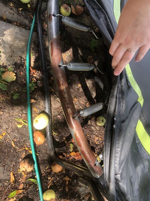 Батут exit tous круглий з захисною сіткою 244 см