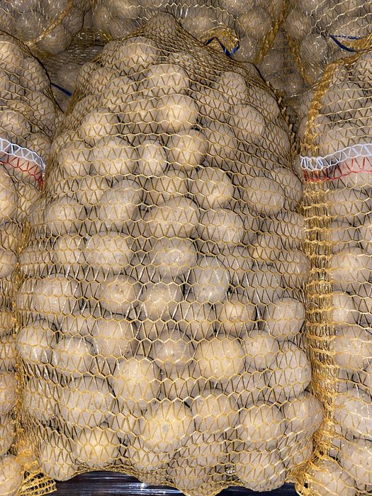 Ziemniaki jadalne   Gala  red sobia