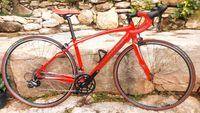 Specialized Sector t49