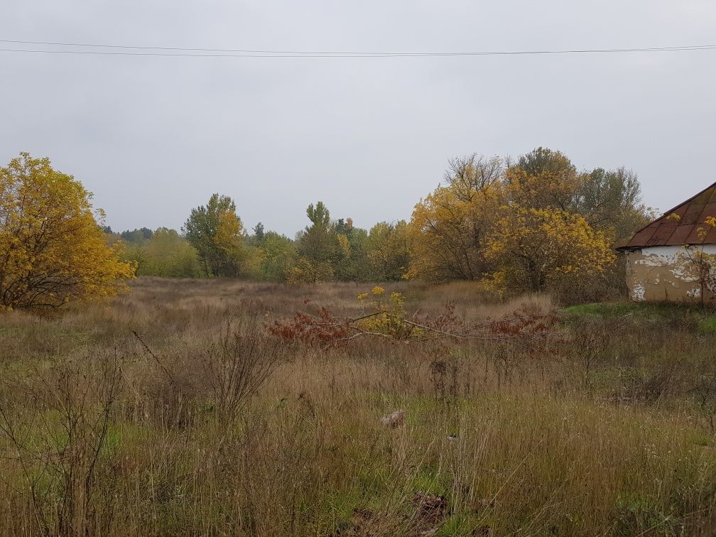 Ділянка під забудову с. Білозір'я 0,20га